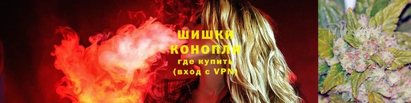 бошки Алексин