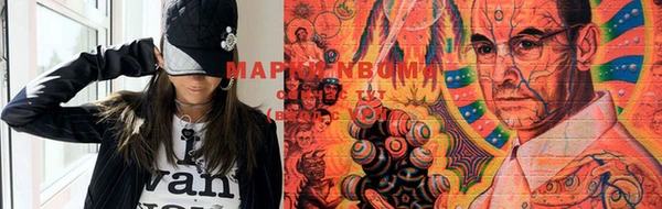 бошки Алексин