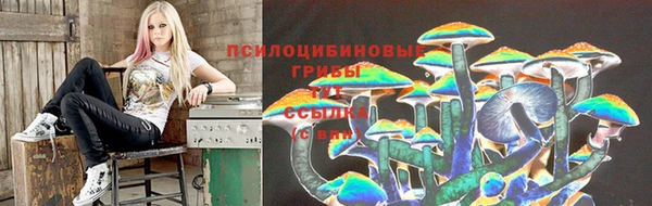 бошки Алексин
