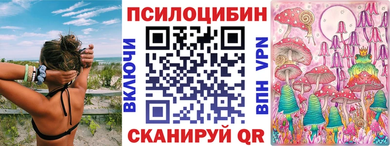 Псилоцибиновые грибы Psilocybe  закладки  Баймак 